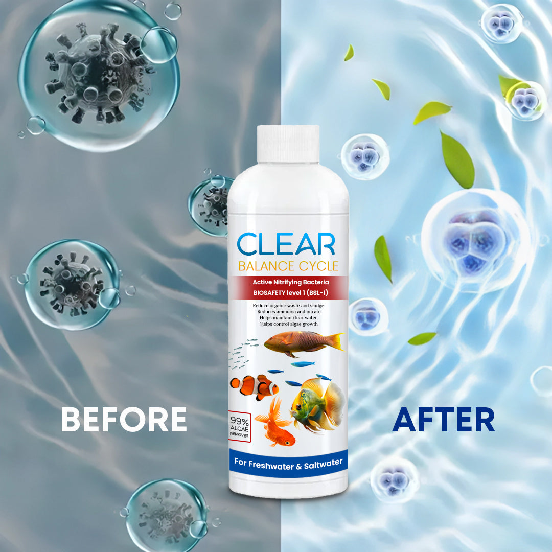 AquaClean™ Automatic Fish Tank Cleaner – (Buy 1 Get 1 Free🔥)